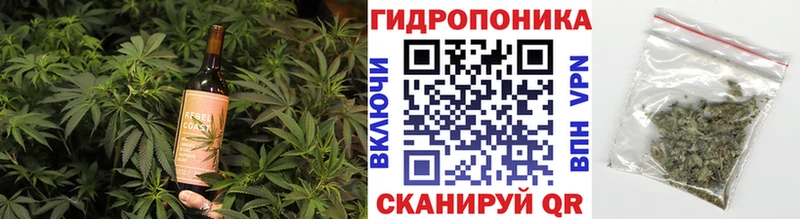 OMG вход Камень-на-Оби Cannafood конопля