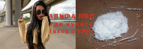 сатива Надым