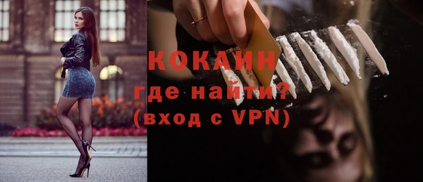 сатива Надым