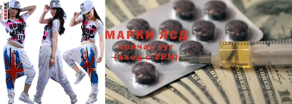сатива Надым