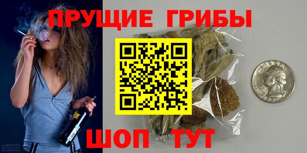 Псилоцибиновые грибы MAGIC MUSHROOMS  Галлюциногенные грибы GOLDEN TEACHER  Вход с VPN  Камень-на-Оби 