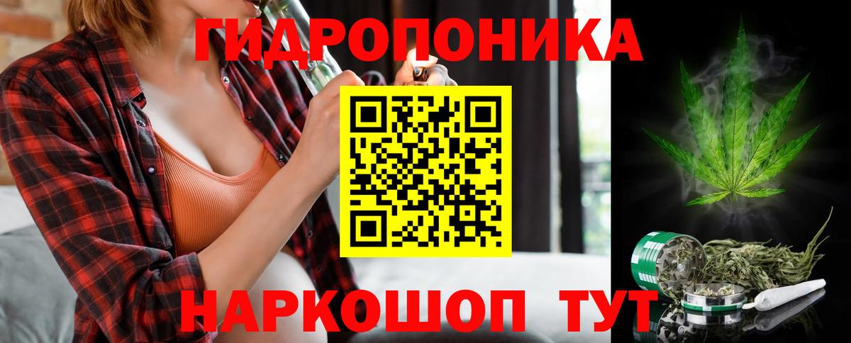 Конопля план Камень-на-Оби